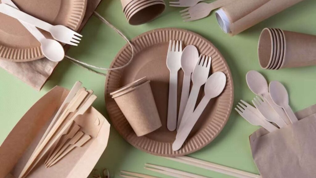 Use Reusable Plates And Utensils
